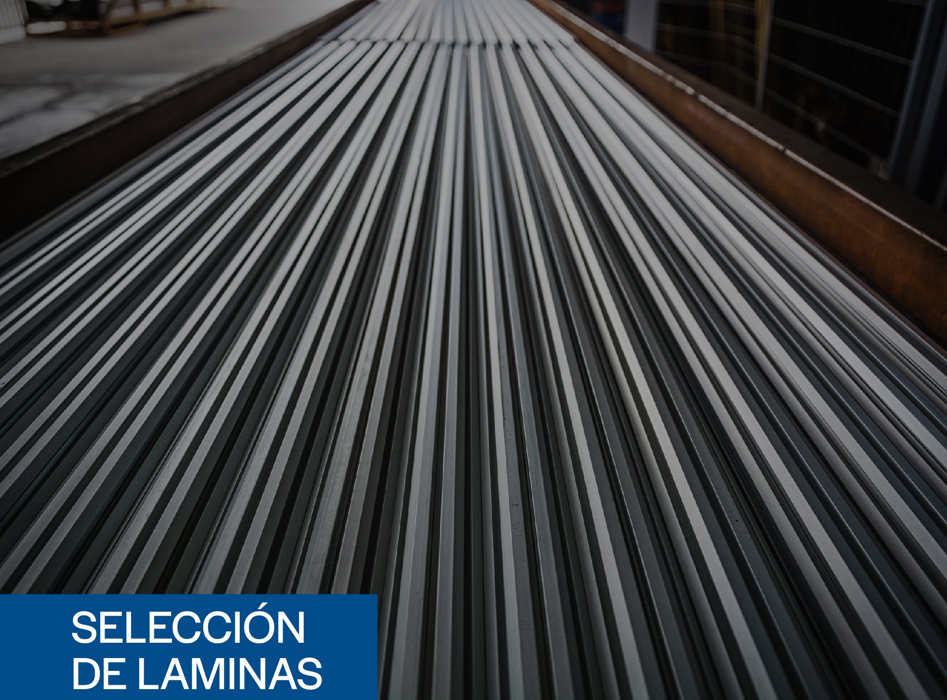 Selección de láminas